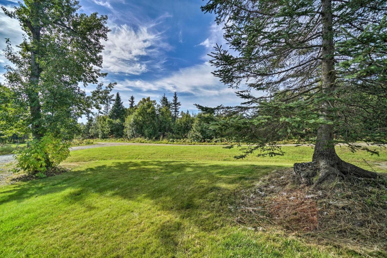 Homer Hideaway On Fritz Creekside - Pets Welcome Exteriör bild